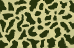 01-SE Green 2 Tone Camo_Thumb.png