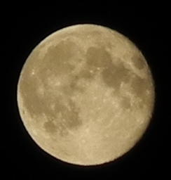 Mond 014.jpg