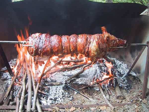 Schwein.png