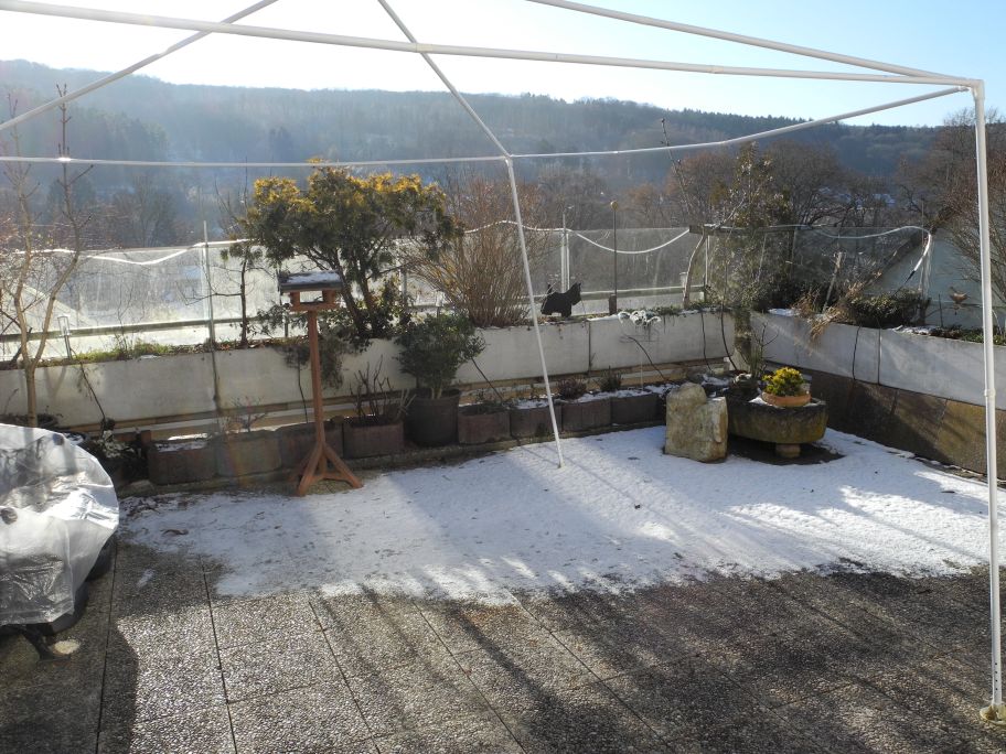 Terrasse 21.01.17.jpg