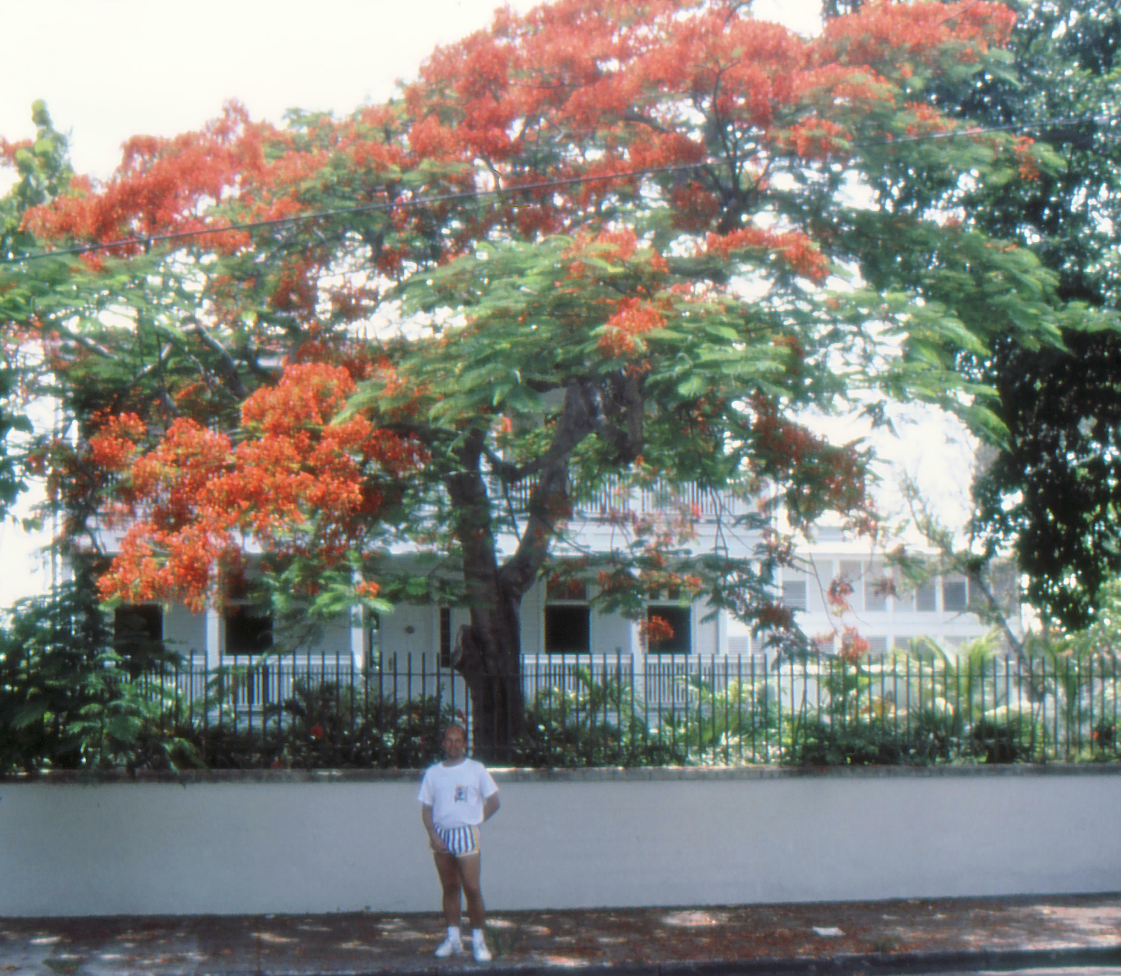 Miami086a.jpg