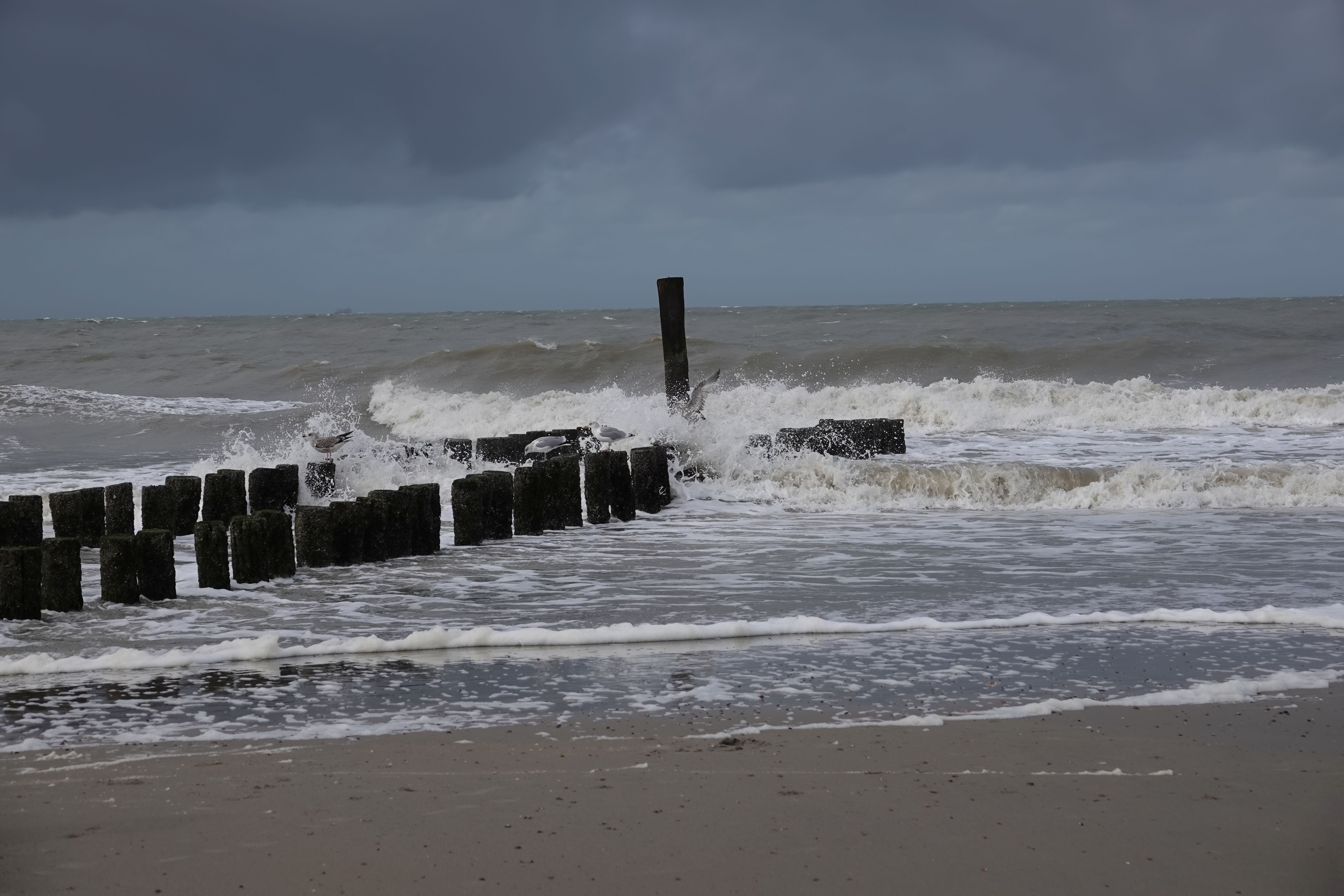 Domburg 02.jpg