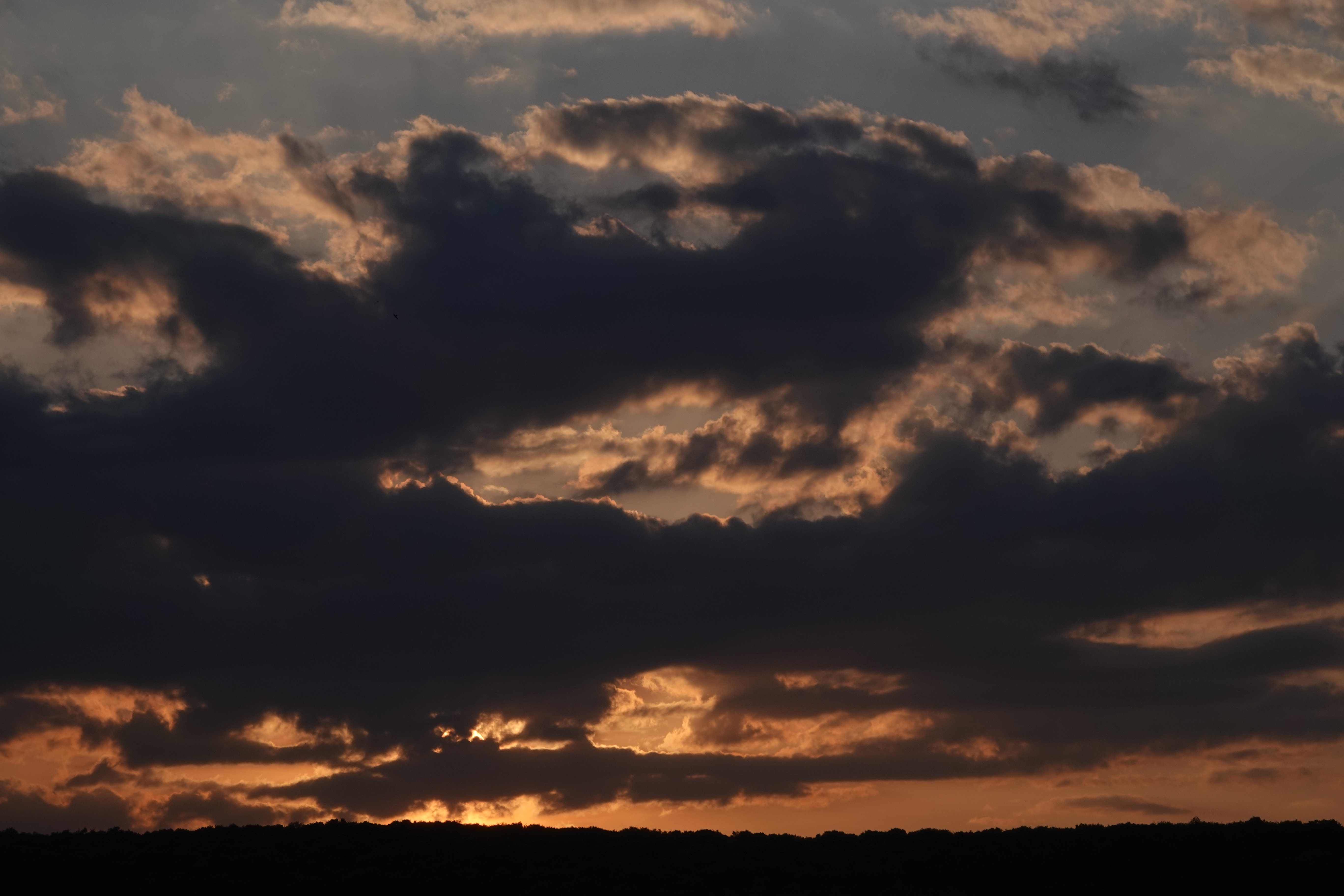 DSC03974.JPG