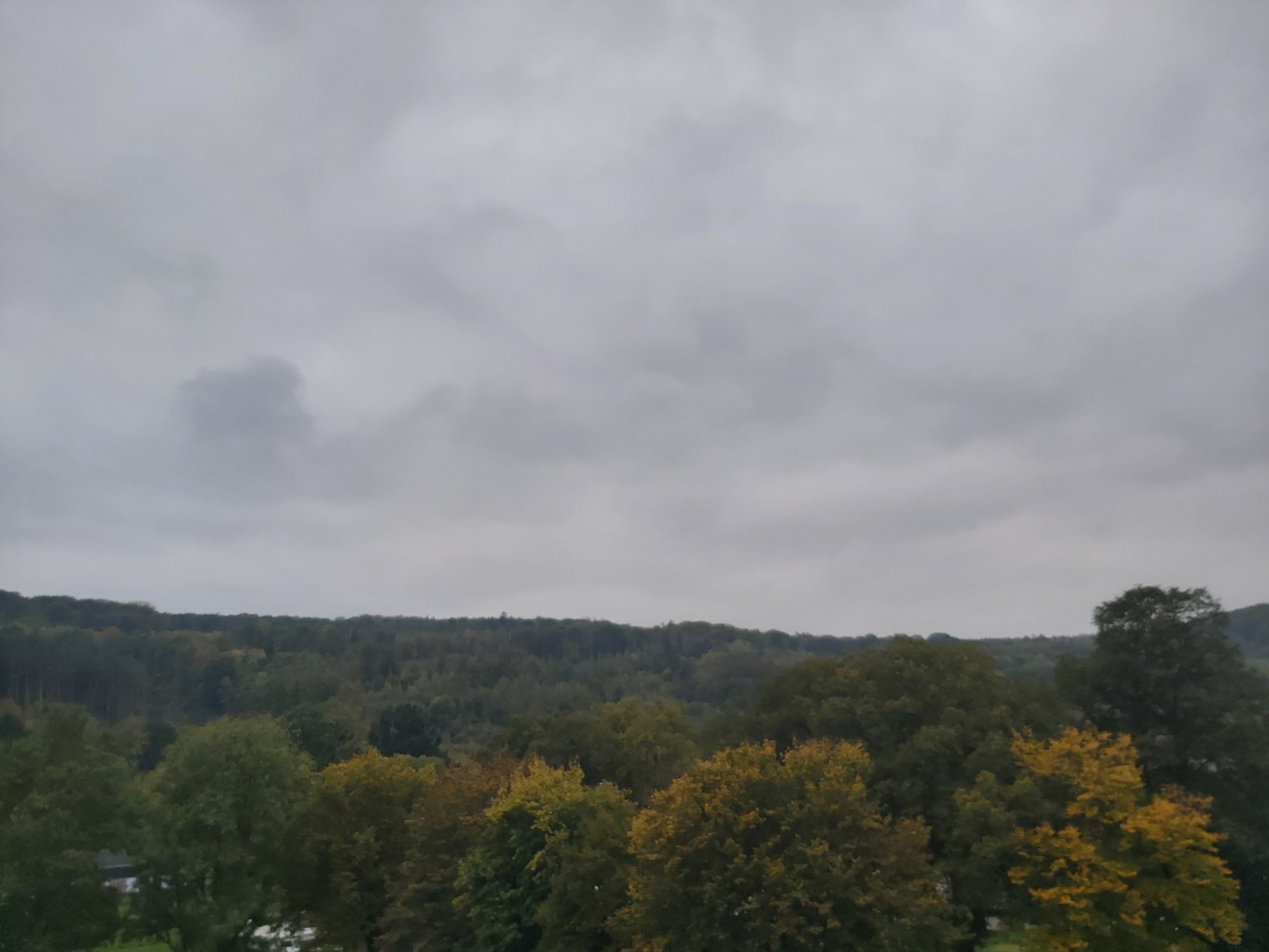 20201017_1.jpg