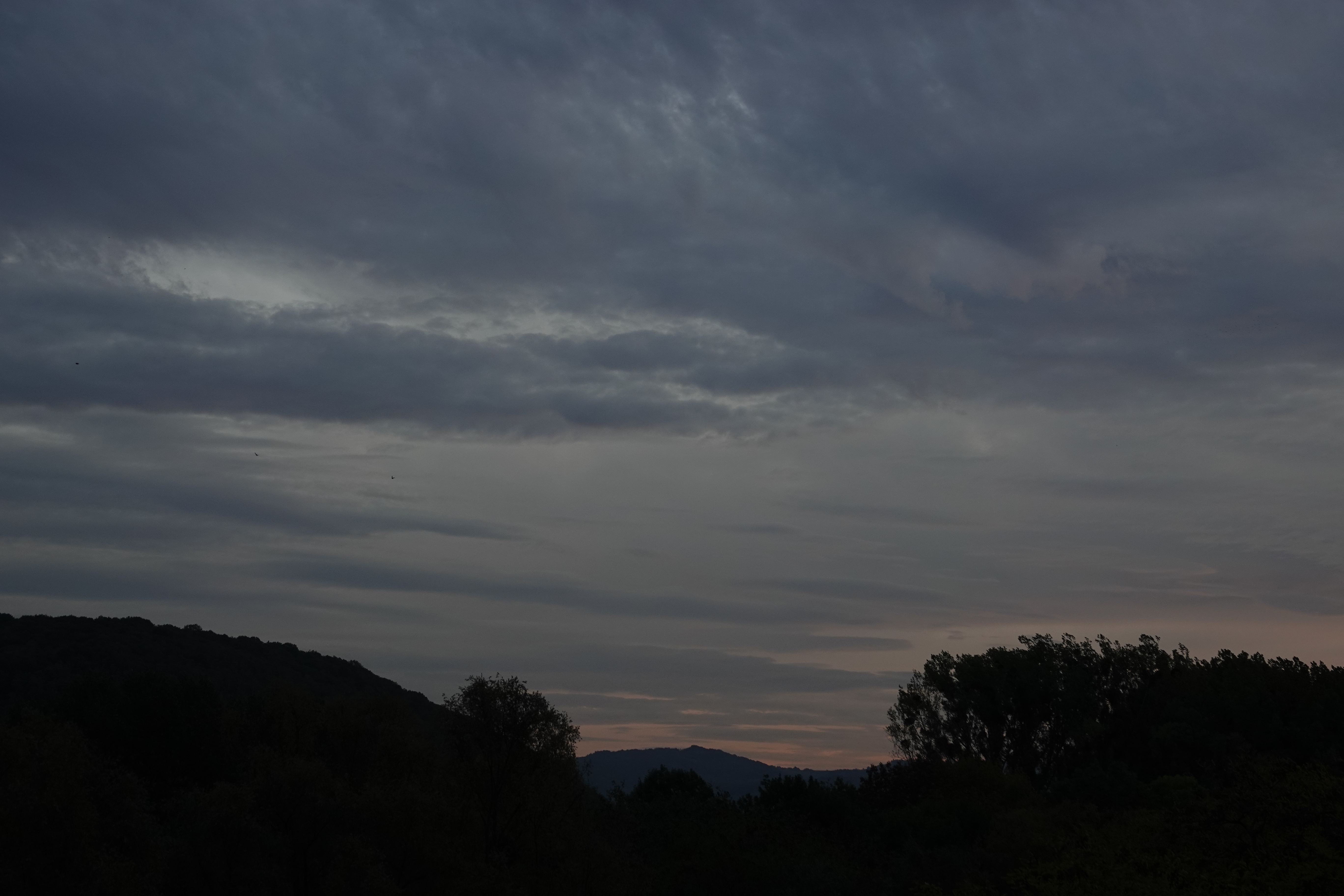 DSC05040.JPG