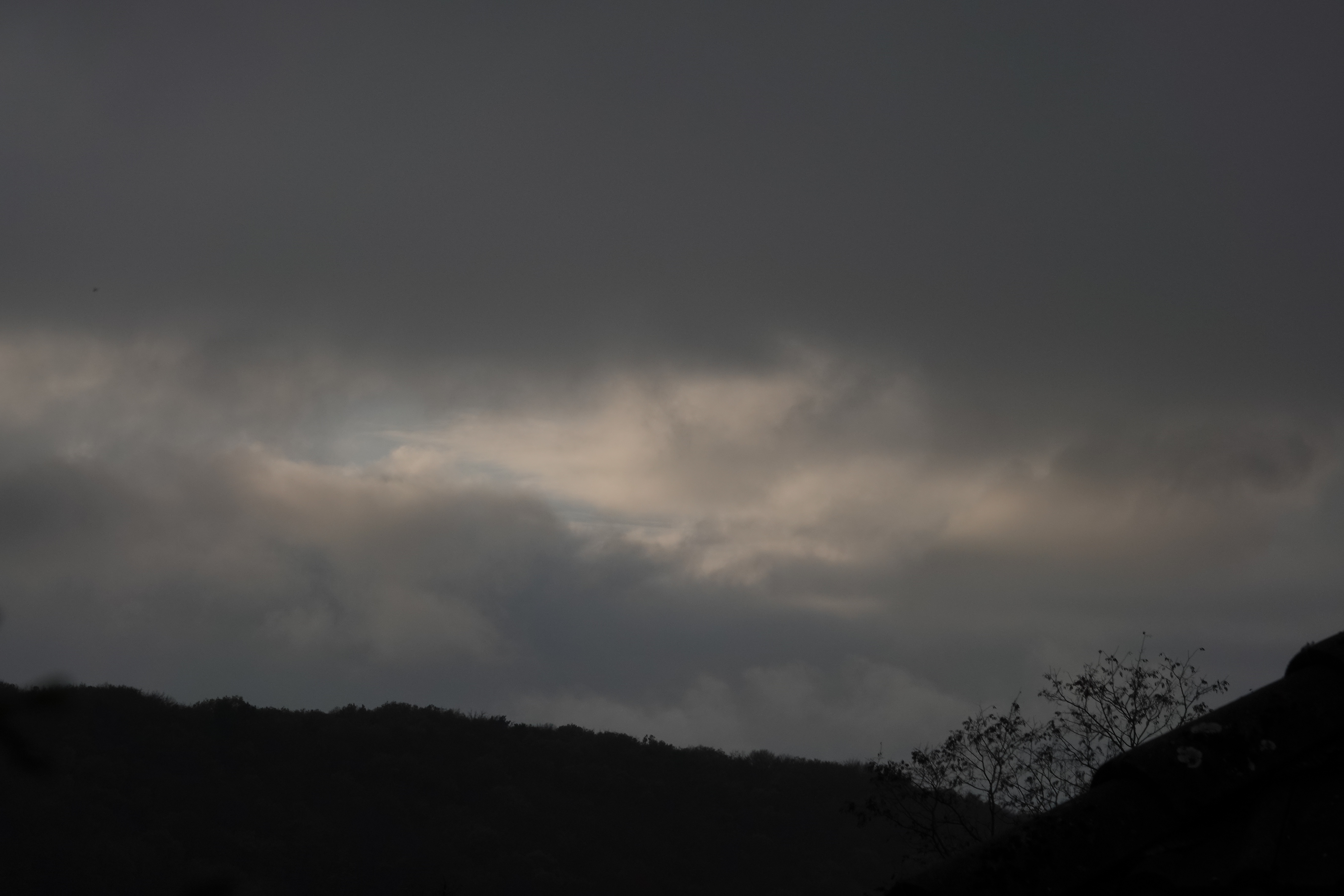 DSC05209.JPG
