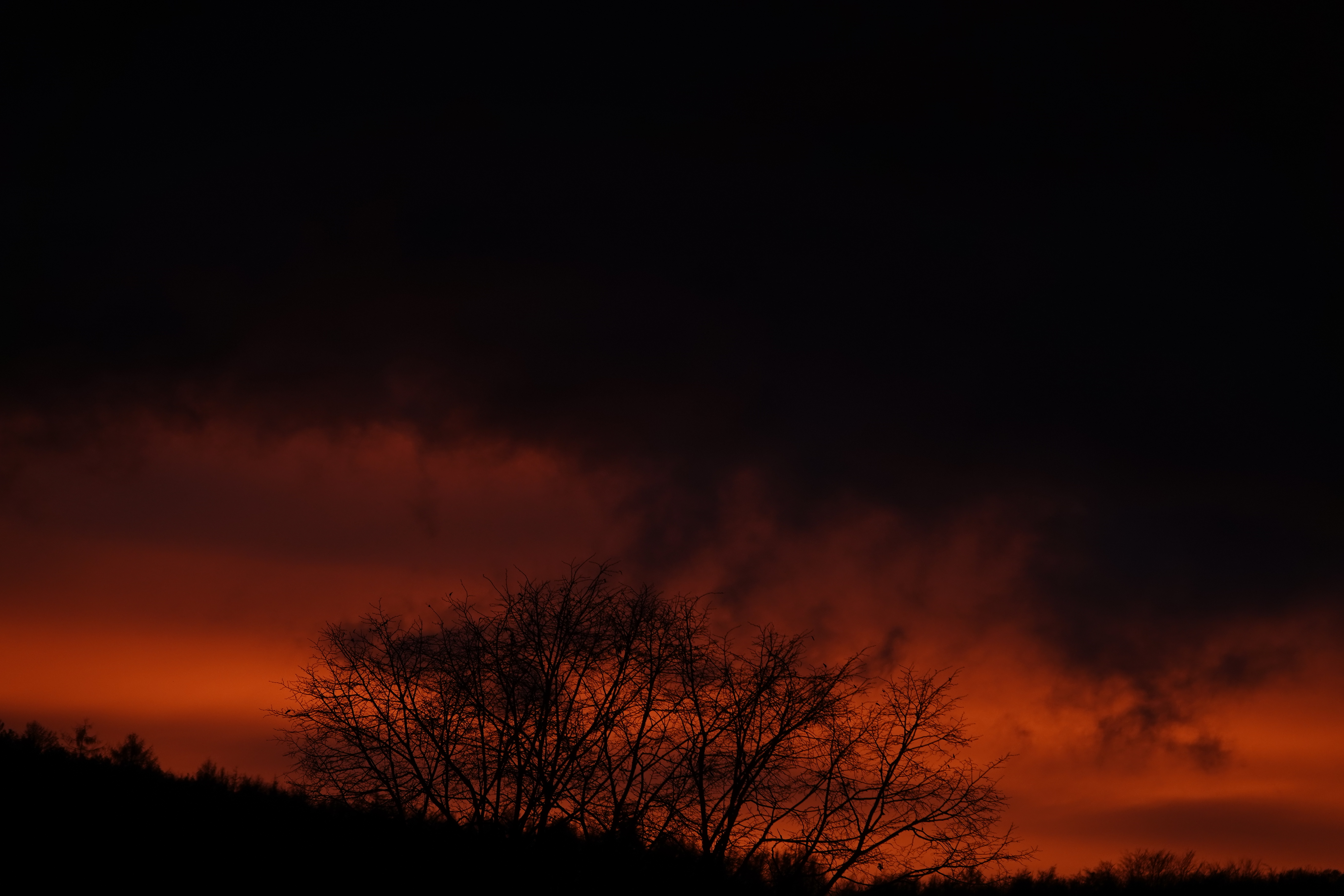 DSC05271.JPG