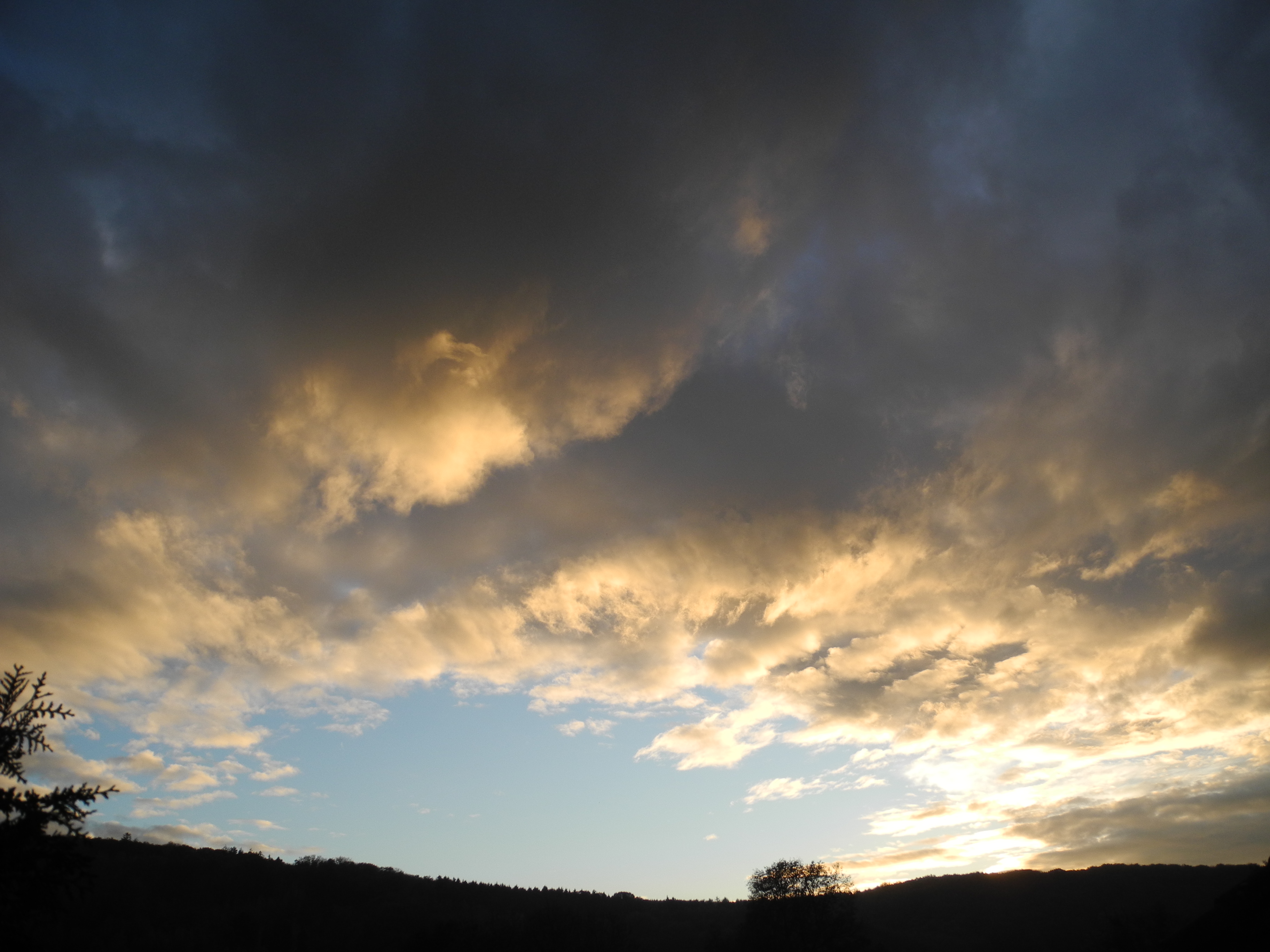 DSCN4644.JPG