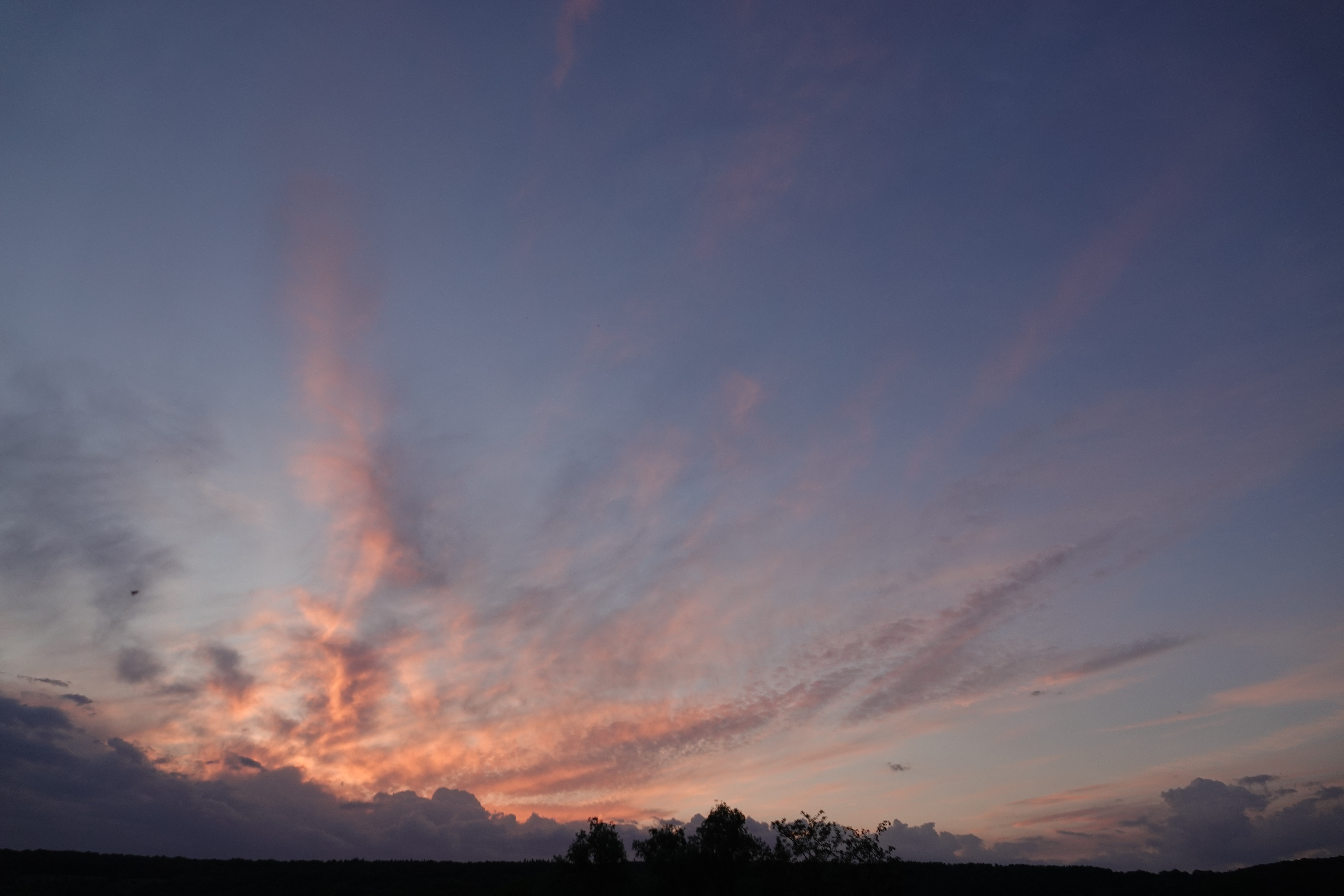DSC05618.JPG