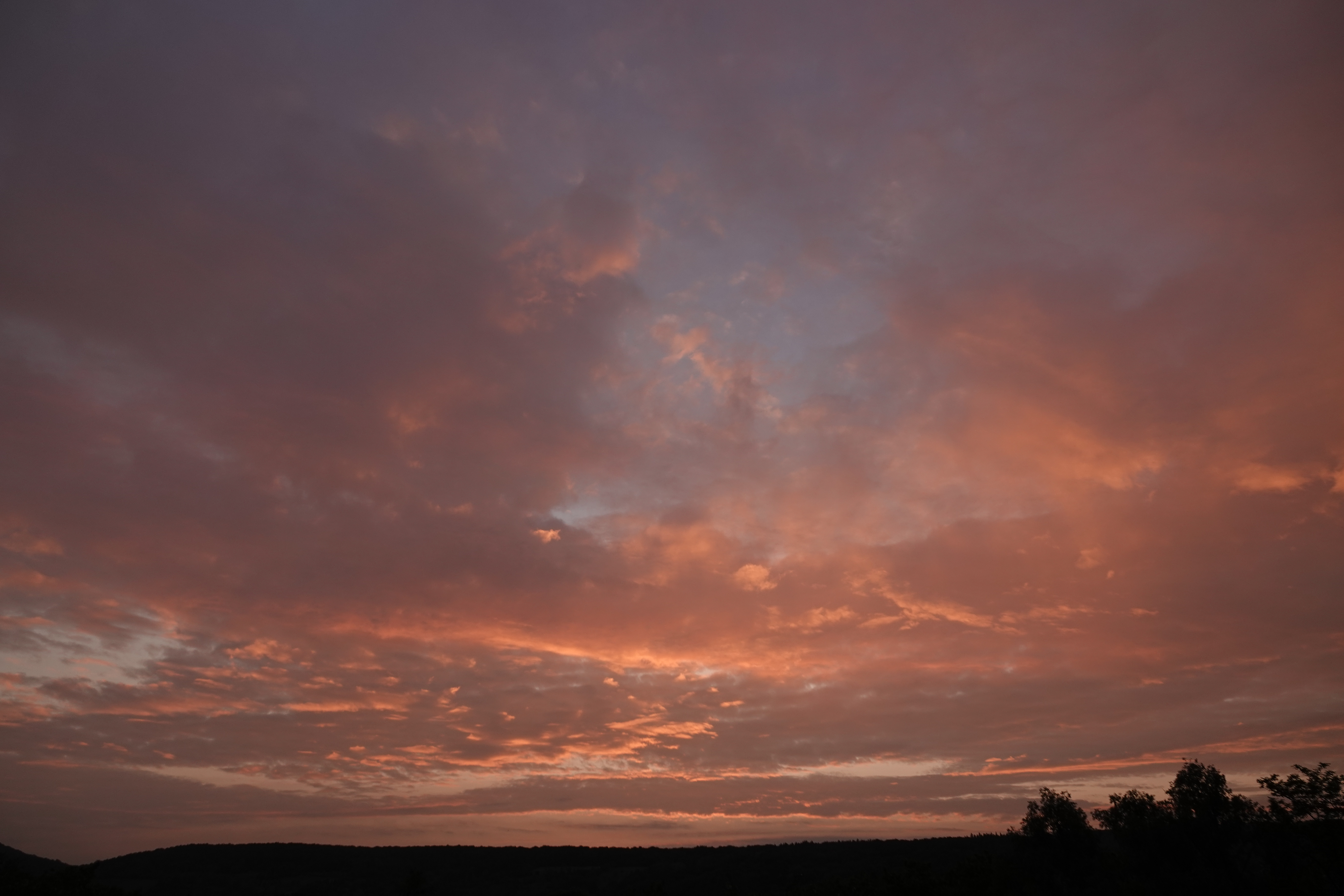DSC05629.JPG