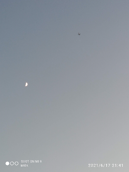 mondfly.png
