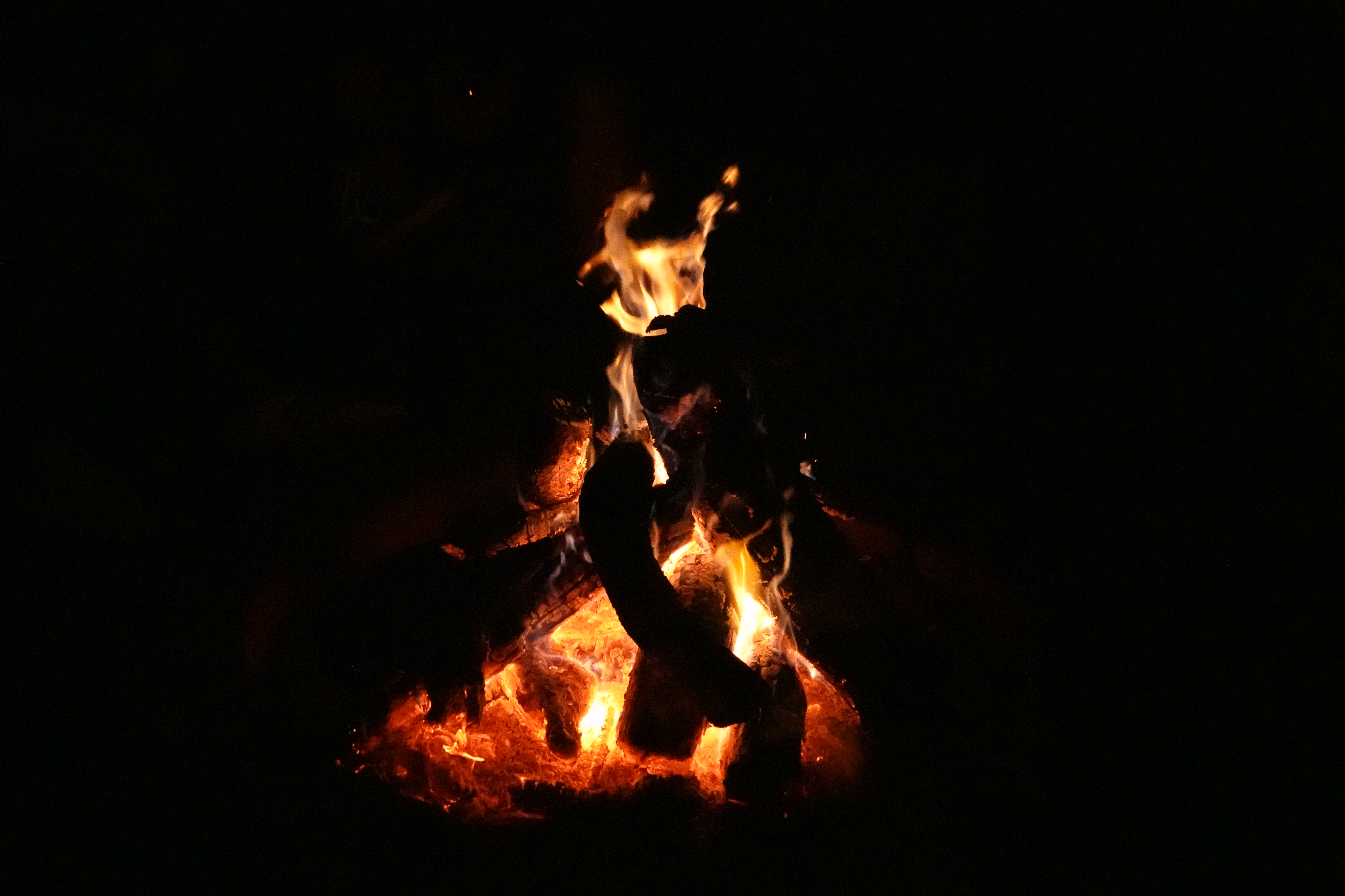 DSC05786.JPG
