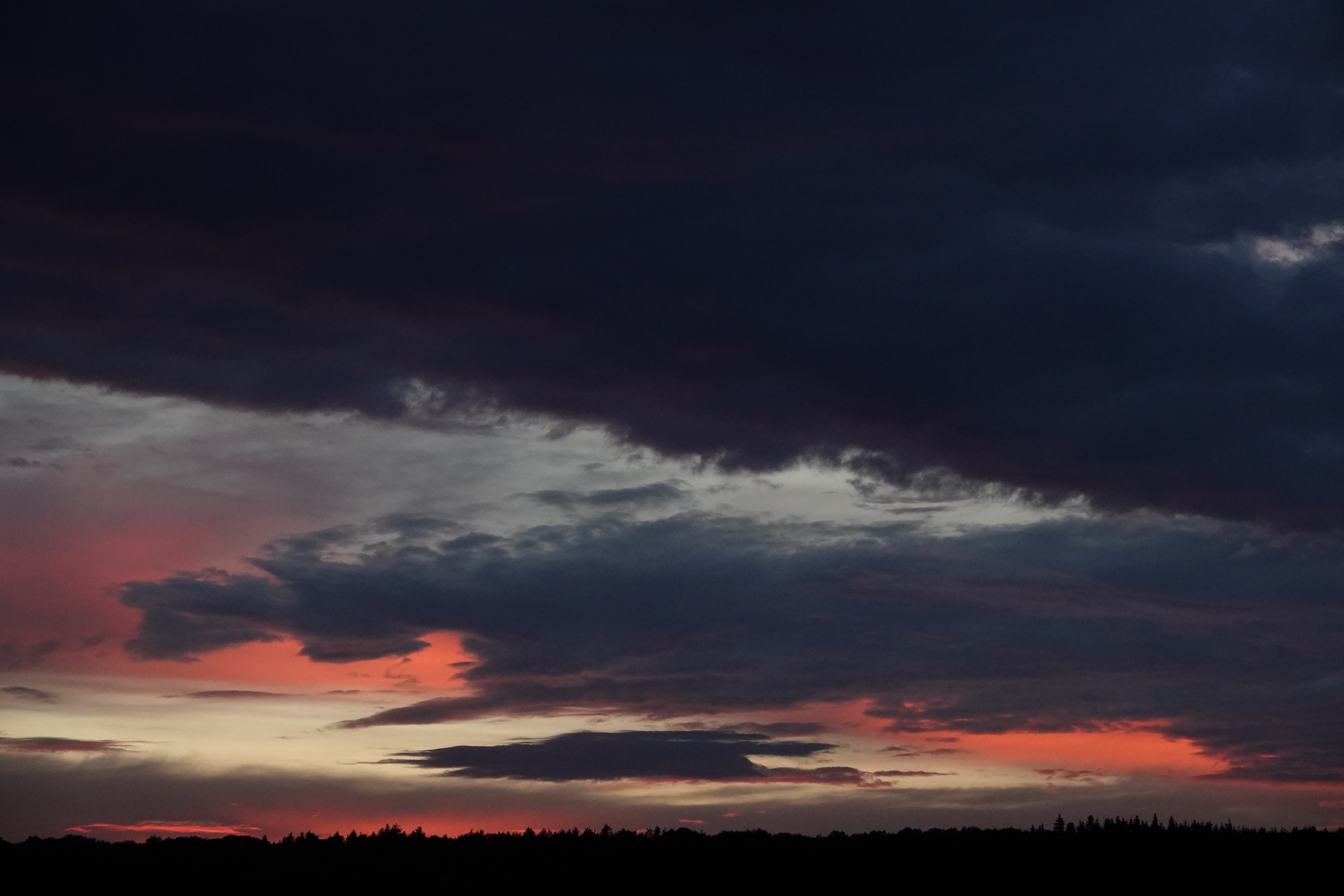 DSC05792.JPG