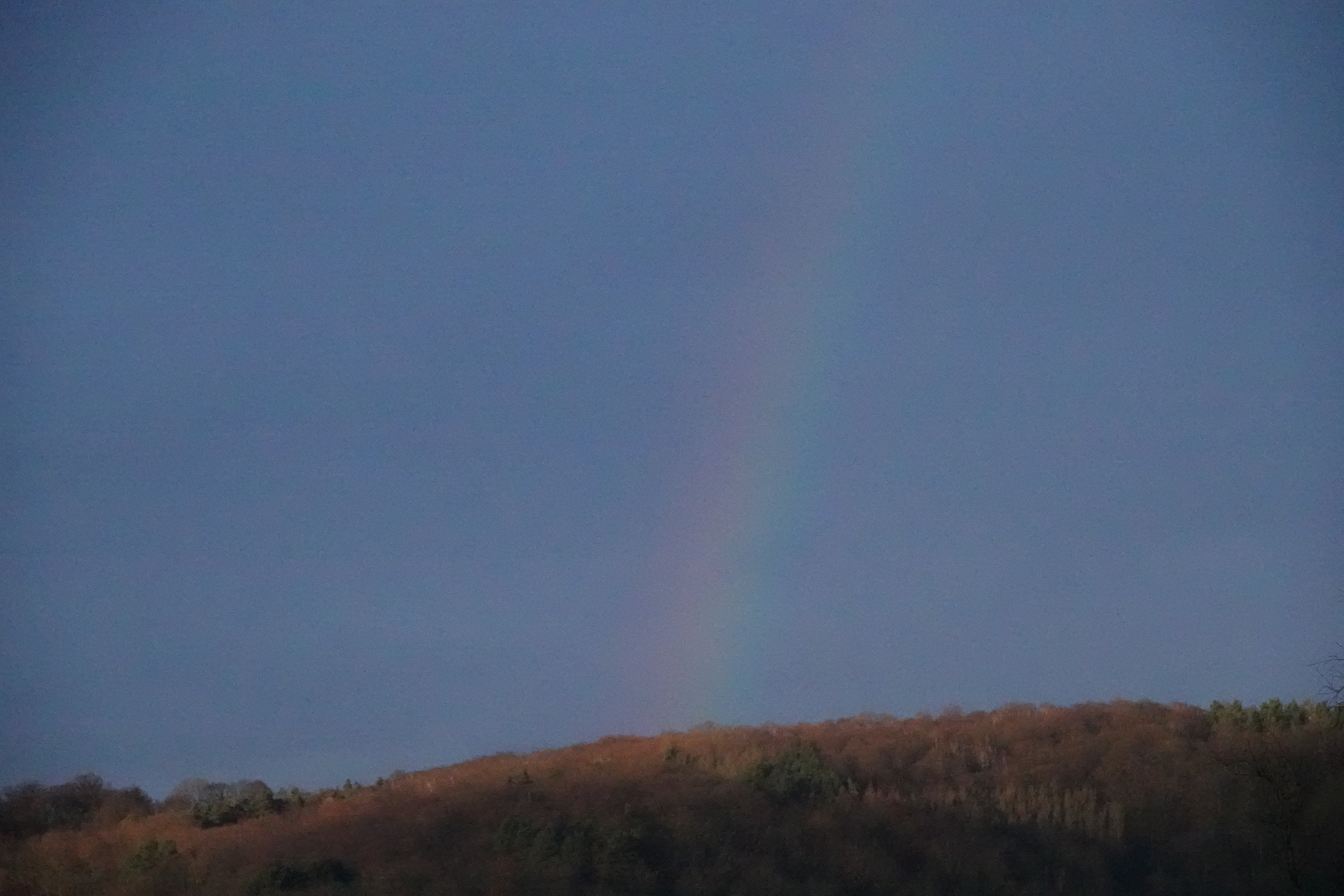 DSC06240.JPG