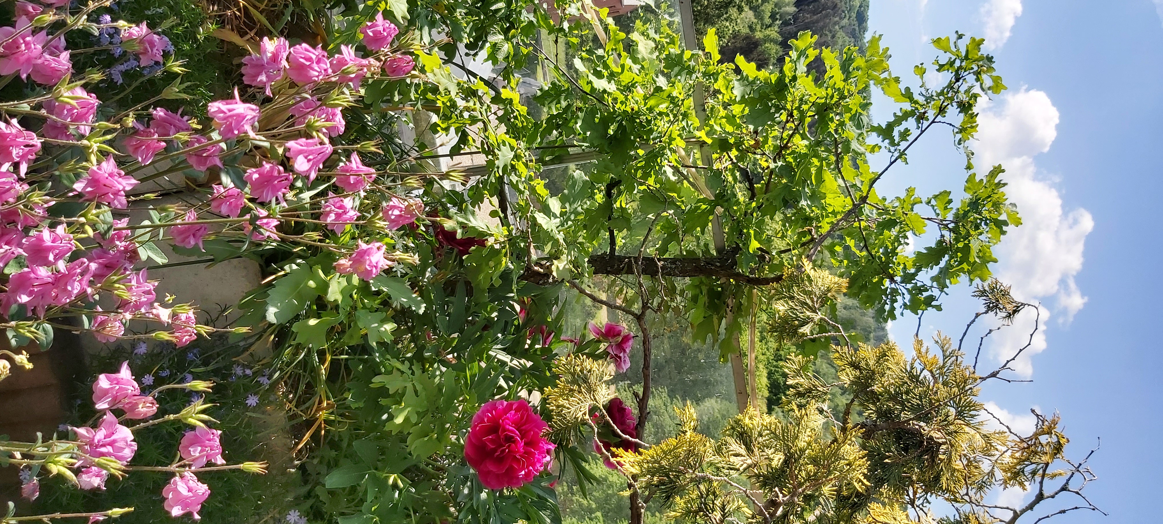 20220511_110522.jpg