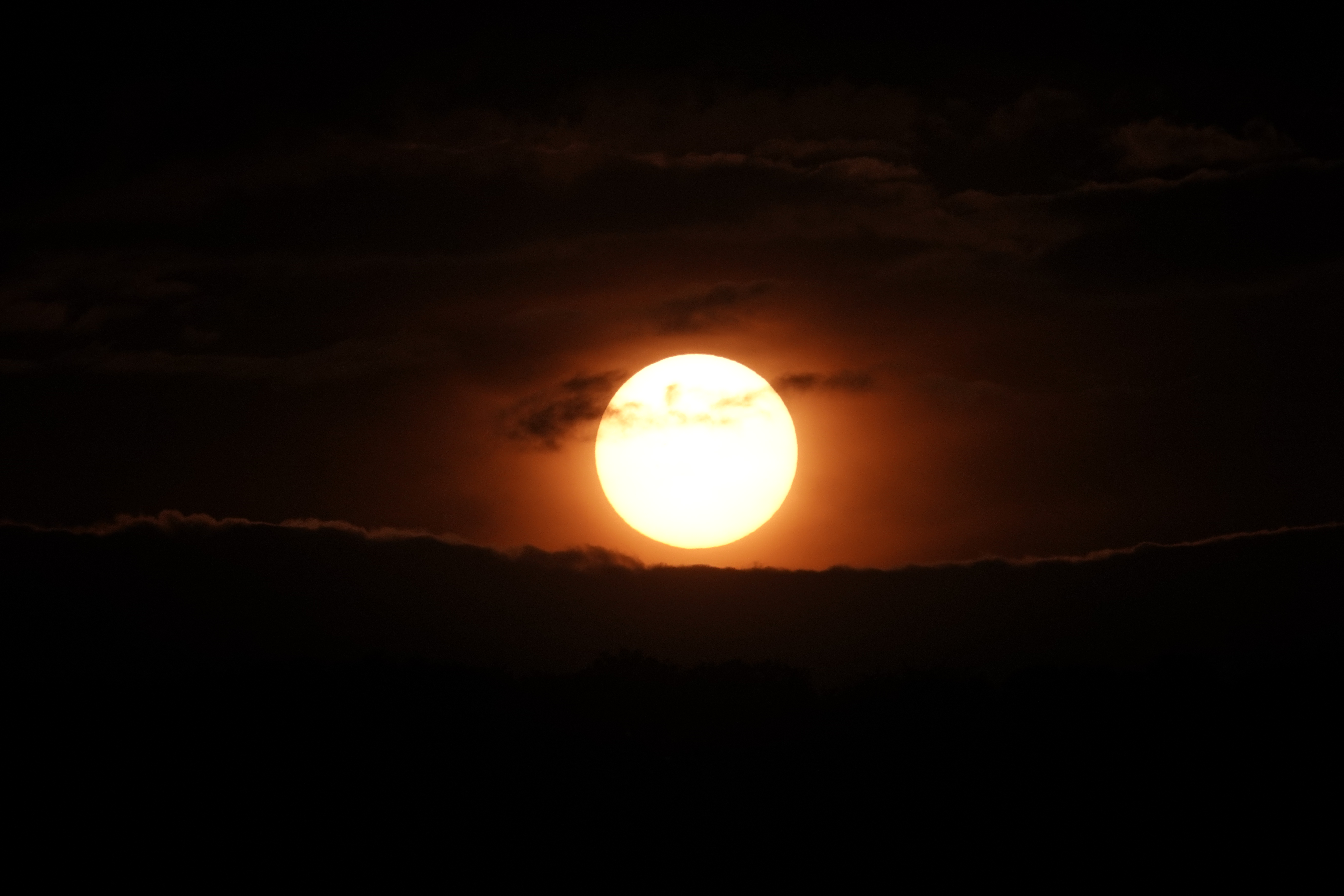 DSC08120.JPG