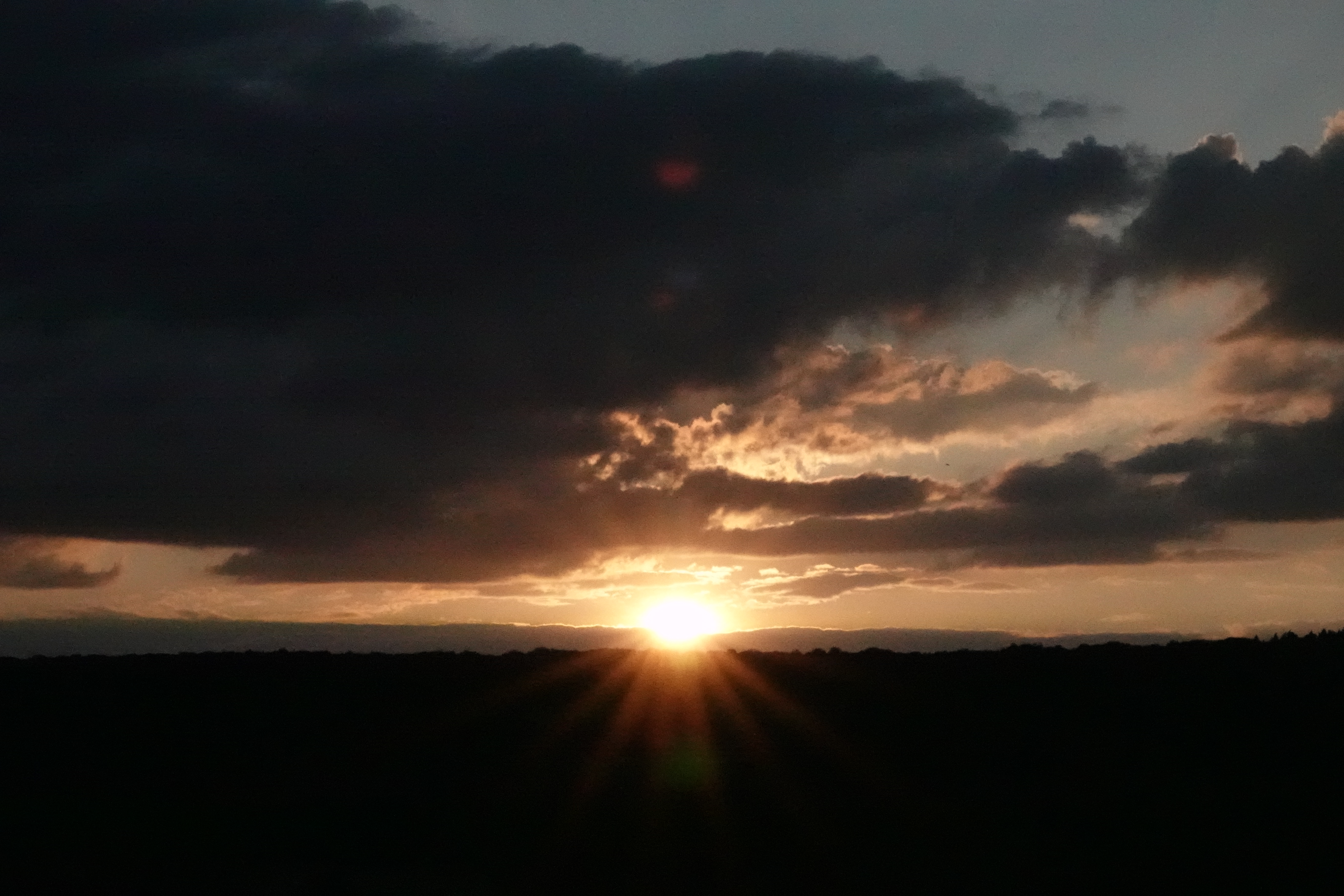 DSC08121.JPG