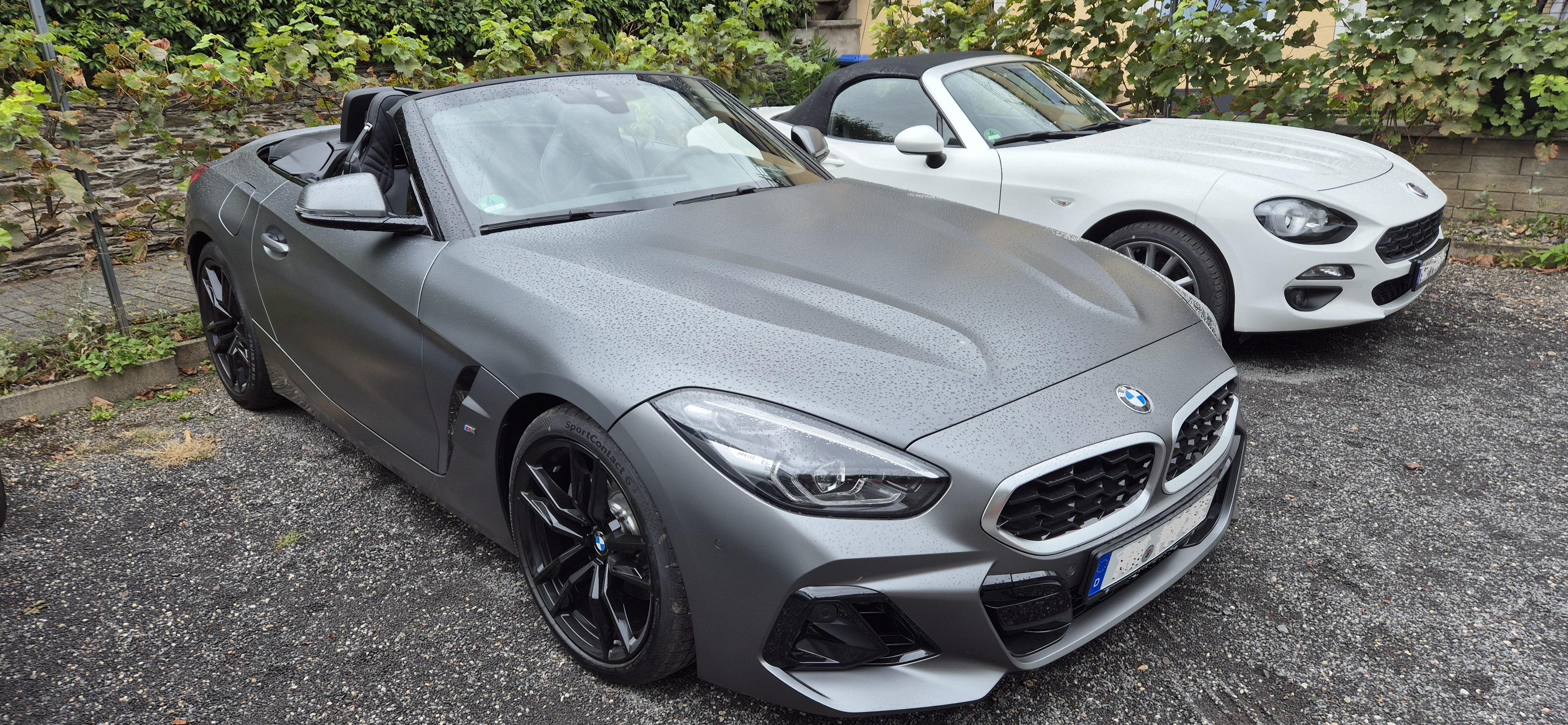 Z4.jpg