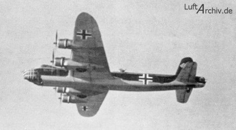short_fly.jpg