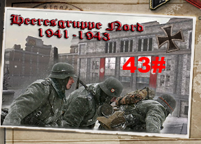 43.png
