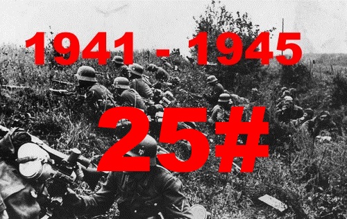25.jpg