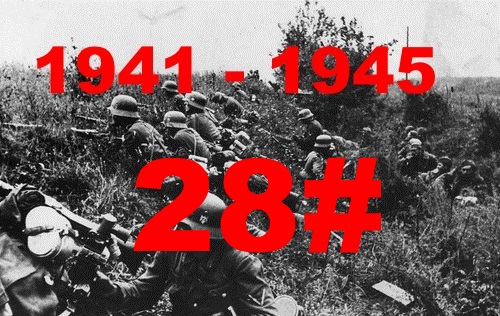 28.jpg