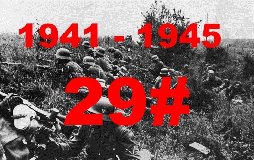 29.jpg