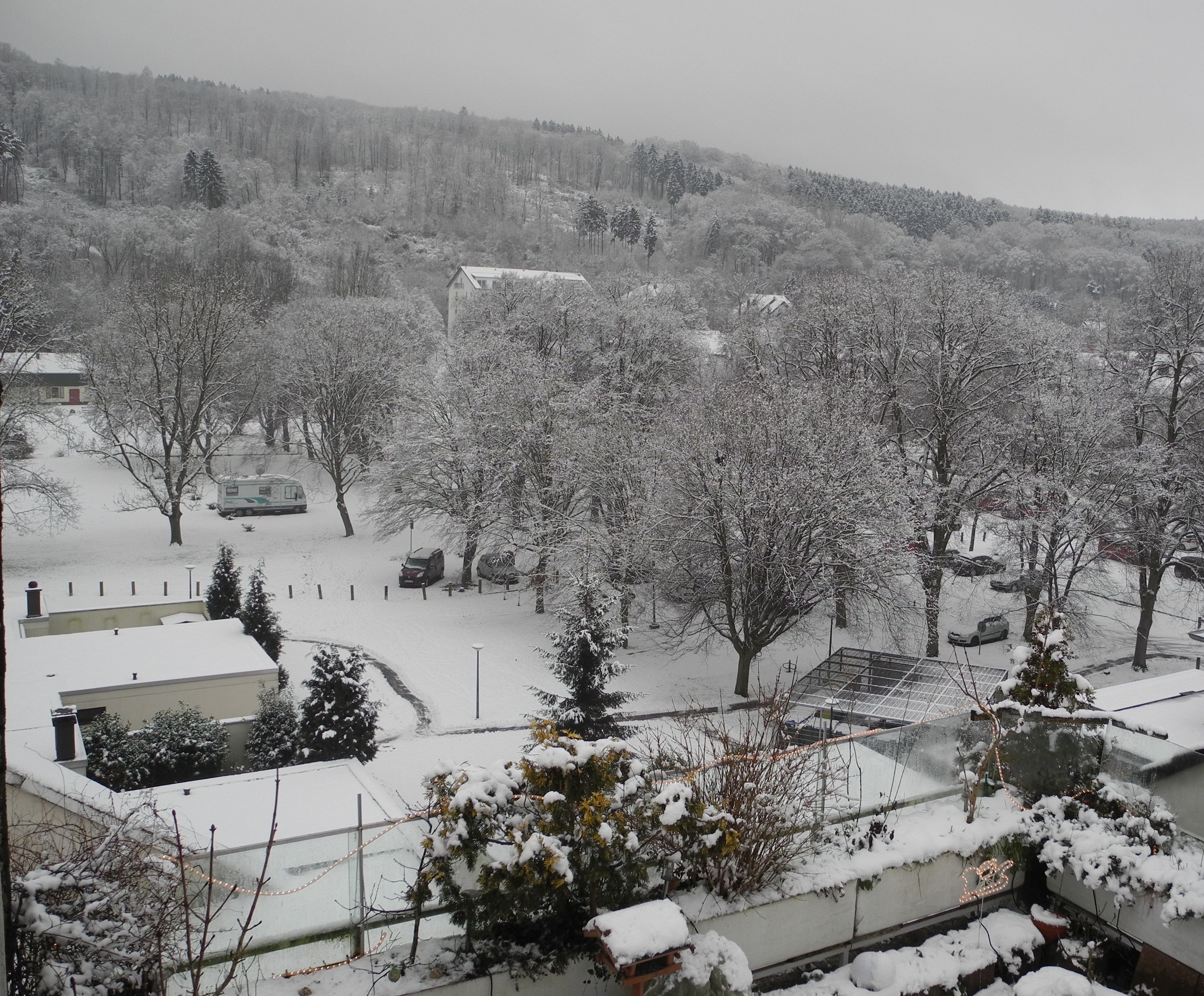 Schnee.jpg