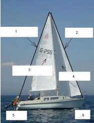 Schiff2