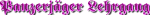 PzJ-LG-Schriftzug