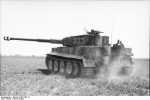 Tiger-LG 1