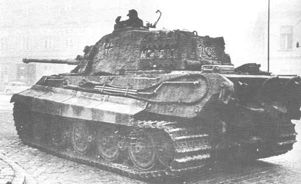 Tiger-LG2