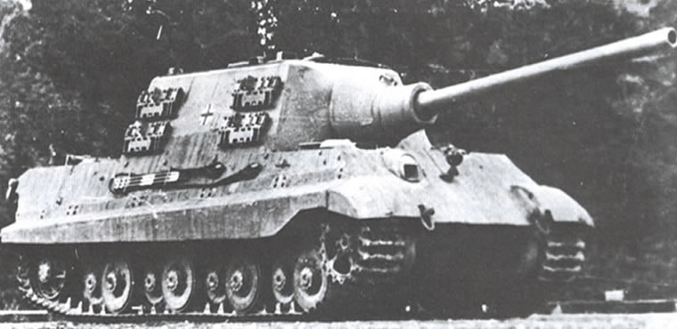 Tiger-LG