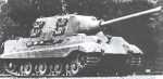 Tiger-LG