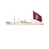 Kormoran
