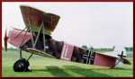 Fokker D. VII USAF