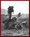 Carbine-iwo-jima-194502