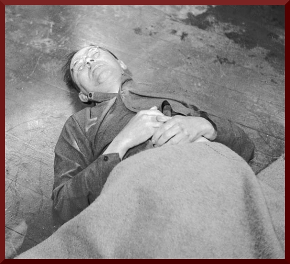Himmler Dead