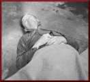 Himmler Dead