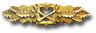 Nahkampfspange in Gold