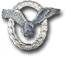 Flugzeugführerabzeichen silber