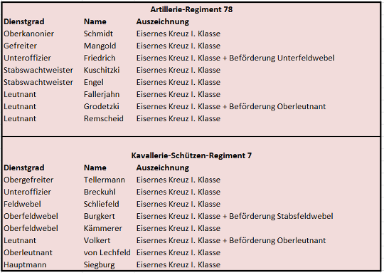 Auszeichnungen_karate