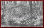 Battle of point pleasant