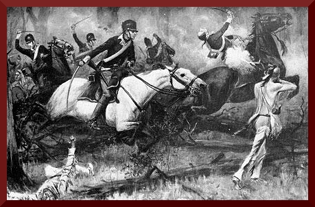 Fallen timbers
