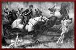 Fallen timbers