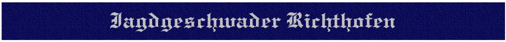 Ärmelstreifen Luftwaffe Richthofen