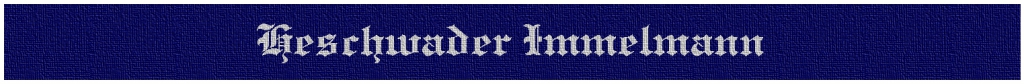 Ärmelstreifen Luftwaffe Immelmann
