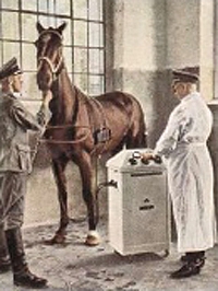 Bild 28 Im Reiche des Veterinärs