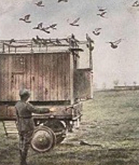 Bild 105 Fahrbarer Brieftaubenschlag