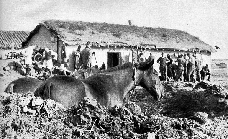 174a-Pferde in Schutzlöchern